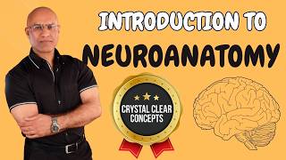 Intro to Neuroanatomy  Neurophysiology  Neuroscience  Central Nervous System [upl. by Merrilee]