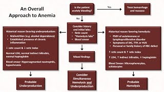 Antianemic Agents amp Iron Supplements  Pharmacology  Cardiovascular  LevelUpRN [upl. by Hylton249]