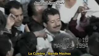 La Culebra  Banda Machos LETRA [upl. by Rednasela73]