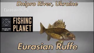 Eurasian Ruffe Dnipro River Ukraine Fishing Planet Guide [upl. by Abbi874]