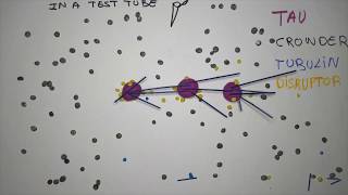 Microtubule nucleation through phase separation [upl. by Cloutman798]