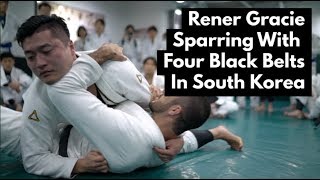 Rener Gracie vs 4 Korean Black Belts [upl. by February911]