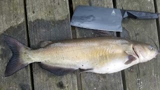 Catfish Catch Clean amp Cook  Bank Fishing Tips and How to Catch Catfish from Shore [upl. by Calvin]