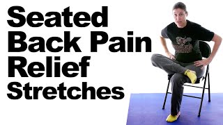 Seated Back Pain Relief Stretches [upl. by Ardnoik535]