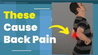 5 Common Causes of Back Pain [upl. by Ysus]