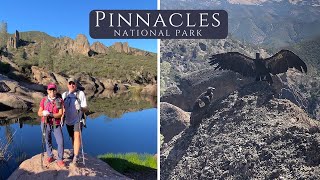 Pinnacles National Park  High Peaks Trail and Condors [upl. by Imoyaba]