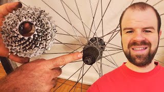 How to Remove the Cassette or Freewheel from Bike Wheels [upl. by Luella968]