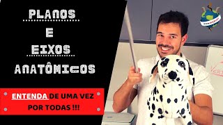 Planos e Eixos Anatômicos  WEBVET [upl. by Ariek]