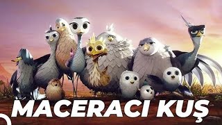 Maceracı Kuş Yellowbird Animasyon Filmi  Full Film İzle [upl. by Raffarty772]