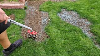 Reseeding Some Bare Spots  DIY Lawn Guy [upl. by Inavoj]