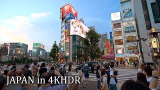 4K・ Tokyo Shinjuku night walk  Big cat・4K HDR [upl. by Elisha]