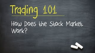 Trading 101 How Does the Stock Market Work [upl. by Aissenav]