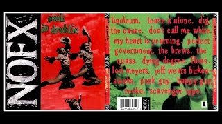 NOFX  Punk in Drublic  FULL ALBUM [upl. by Zippel584]