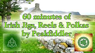 60 minutes Irish Jigs Reels amp Polkas [upl. by Isia]