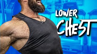 The KEY To Fixing Your Lower Chest amp Getting More Pec Development [upl. by Iveson]