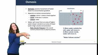 Cell Physiology Membrane Transport [upl. by Euqnom]