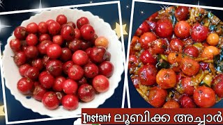 രുചികരമായ ലൂബിക്ക അച്ചാർ Loobikka  Lololikka  Achar  Pickle Recipe [upl. by Pauwles]