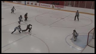 TOP 10 GOALS at 2018 Capital Ringette Classic finals CT rink [upl. by Drofniw]