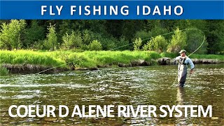 Fly Fishing Idahos Coeur d’Alene River System Series Episode 12 [upl. by Mushro]