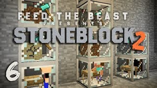 StoneBlock 2 Modpack Ep 6 Automatic Sieve Setup  Item Sorting [upl. by Chaim462]