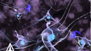 How Neurotransmission amp brain signals work  3D animation [upl. by Ecinuahs346]