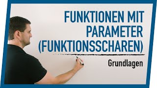 Funktionen mit Parameter Funktionsscharen Grundlagen  Mathe by Daniel Jung [upl. by Harald]