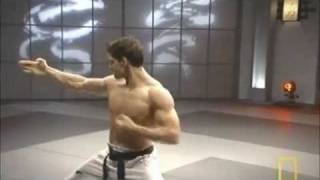 Fight Science  Bren Foster Taekwondo speed [upl. by Marga911]