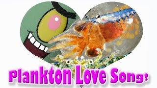 Plankton Love Song phytoplankton zooplankton ocean food chain for kids [upl. by Eikin]