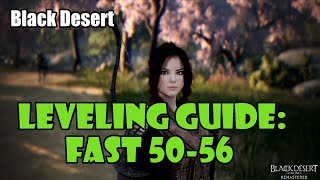 Black Desert Fast Solo Leveling Guide  5056 [upl. by Alard190]