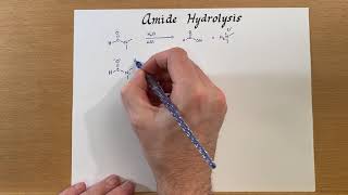 Amide Hydrolysis [upl. by Farly380]