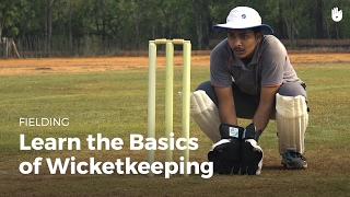 Learn the Basics of Wicketkeeping  Cricket [upl. by Drescher801]