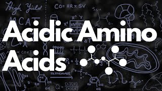 Acidic Amino Acids Aspartate amp Glutamate  MCAT [upl. by Wincer8]