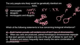 Monozygotic vs dizygotic twins [upl. by Fonzie]