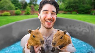 I spent a day with CAPYBARAS [upl. by Ramah965]