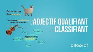 Ladjectif qualifiant et classifiant  Français  Alloprof [upl. by Volnay]