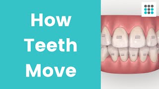 HOW TEETH MOVE WITH ALIGNERS amp BRACES l Dr Melissa Bailey Orthodontist [upl. by Reece]