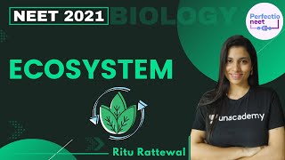 Ecosystem  NEET Biology  NEET 2021  Ritu Rattewal [upl. by Eidnahs]