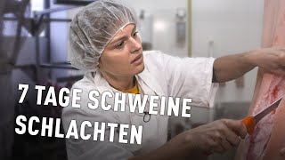 Als Vegetarierin im Schlachthaus  Doku [upl. by Annad668]