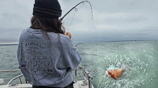 SNAPPER Fishing Madness In Westernport [upl. by Nylorahs]