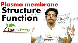 Plasma membrane structure and function [upl. by Alam502]