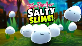 The NEW SALTY SLIMES Are Slimes You Can Create  Slime Rancher Mods [upl. by Benioff222]