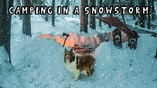 Winter Camping in a Snowstorm with My Dog [upl. by Ylrak]