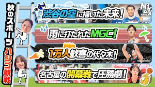 【見所満載】秋のスポーツ ハシゴ観戦！｜トヨタイムズスポーツ [upl. by Vinny345]