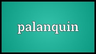 Palanquin Meaning [upl. by Gettings]