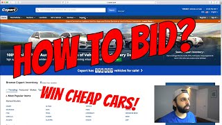 How to Bid on Cars at Copart  What Broker I Use [upl. by Trimmer]