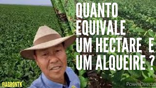 QUANTO EQUIVALE 1 HECTARE E 1 ALQUEIRE [upl. by Etsirk]