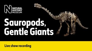 Sauropods Gentle Giants  Live Talk with NHM Scientist [upl. by Atiugal559]