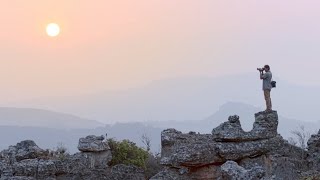 The Wild Wonders of South Africa  National Geographic [upl. by Idnahr]