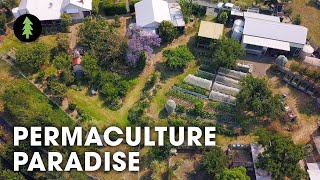 Hugely Abundant 1Acre Permaculture Homestead Tour – Limestone Permaculture Farm Revisit [upl. by Lynea]