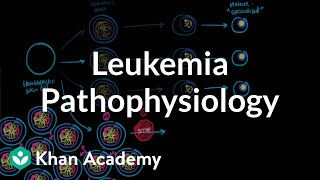 Leukemia pathophysiology  Hematologic System Diseases  NCLEXRN  Khan Academy [upl. by Aseretairam]